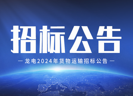 龍電2024年貨物運輸招標公告